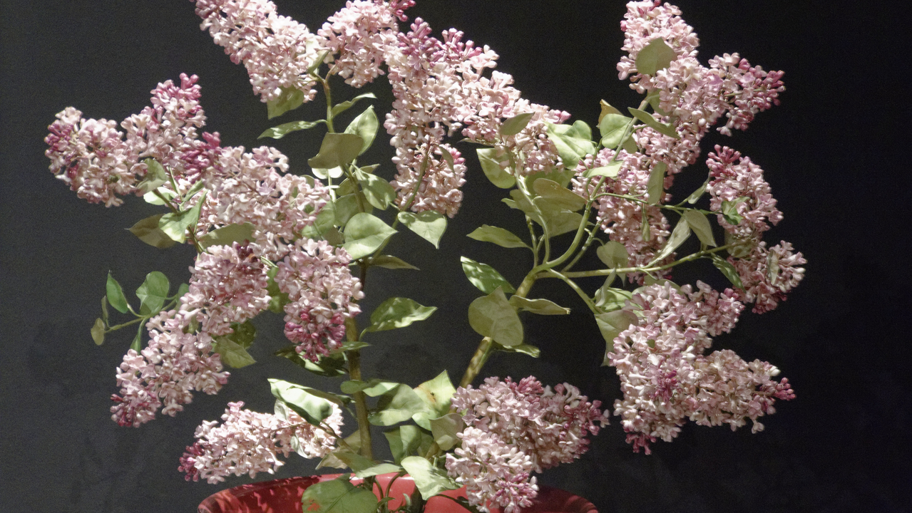 20140710 162201•Meissen•Saxony•Germany